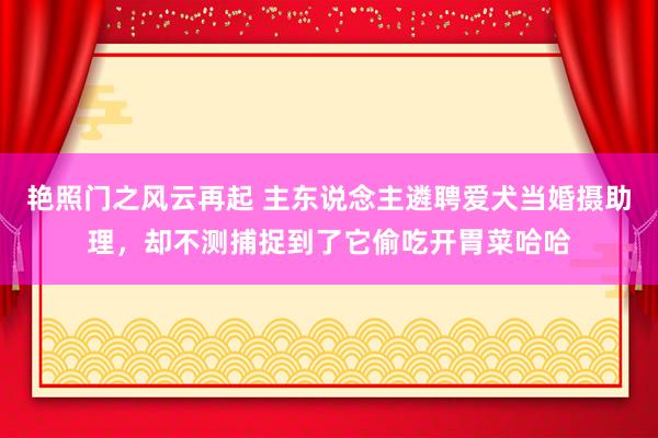 艳照门之风云再起 主东说念主遴聘爱犬当婚摄助理，却不测捕捉到了它偷吃开胃菜哈哈