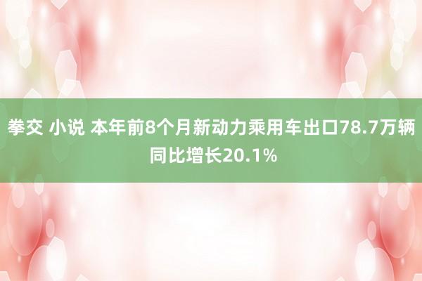 拳交 小说 本年前8个月新动力乘用车出口78.7万辆 同比增长20.1%