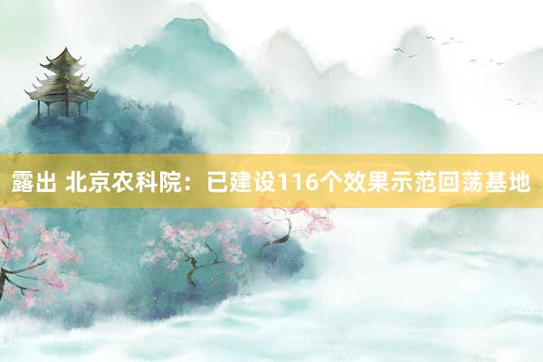 露出 北京农科院：已建设116个效果示范回荡基地