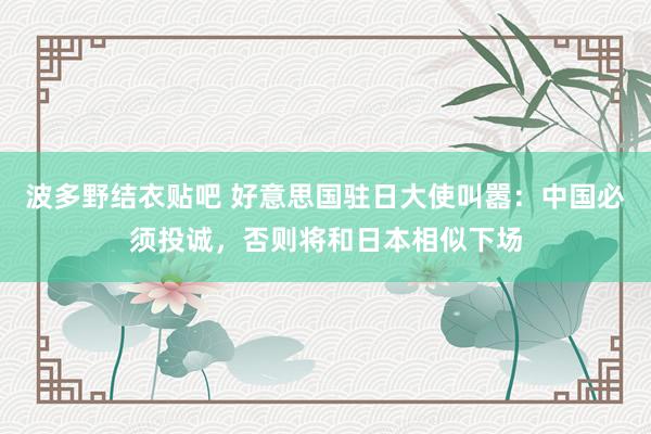 波多野结衣贴吧 好意思国驻日大使叫嚣：中国必须投诚，否则将和日本相似下场