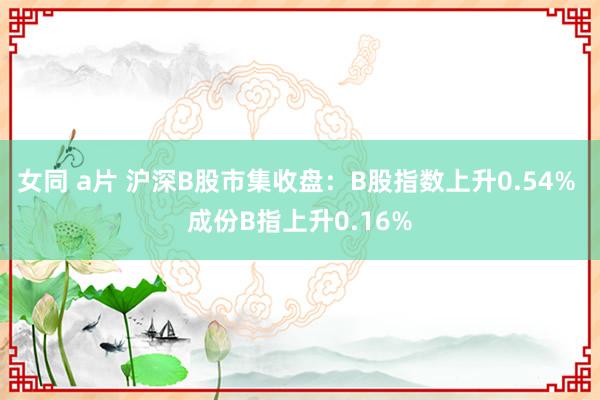 女同 a片 沪深B股市集收盘：B股指数上升0.54% 成份B指上升0.16%