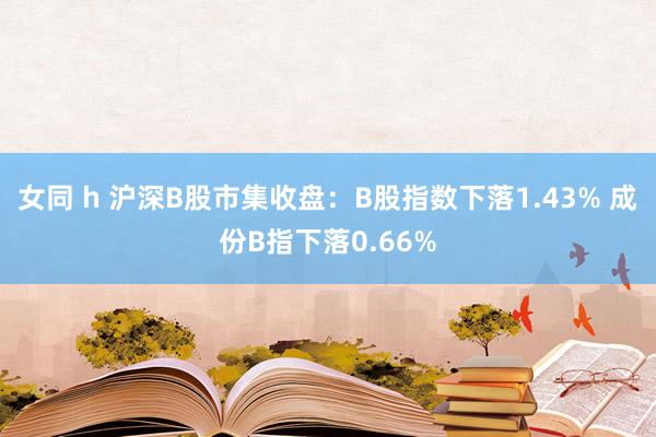 女同 h 沪深B股市集收盘：B股指数下落1.43% 成份B指下落0.66%