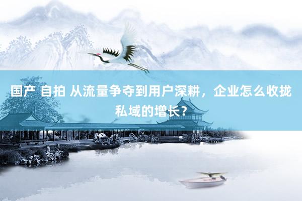 国产 自拍 从流量争夺到用户深耕，企业怎么收拢私域的增长？