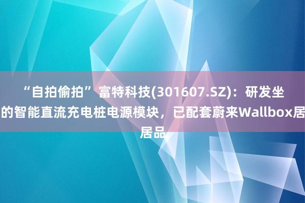 “自拍偷拍” 富特科技(301607.SZ)：研发坐褥的智能直流充电桩电源模块，已配套蔚来Wallbox居品