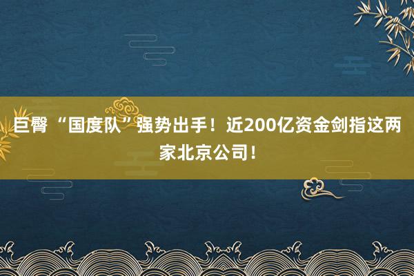 巨臀 “国度队”强势出手！近200亿资金剑指这两家北京公司！