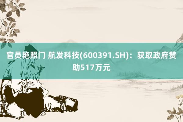 官员艳照门 航发科技(600391.SH)：获取政府赞助517万元