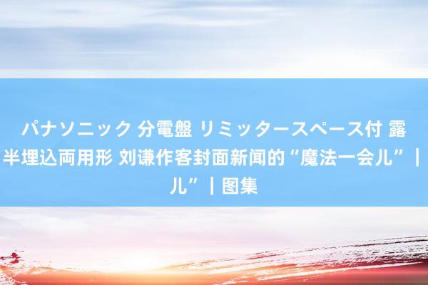 パナソニック 分電盤 リミッタースペース付 露出・半埋込両用形 刘谦作客封面新闻的“魔法一会儿”｜图集