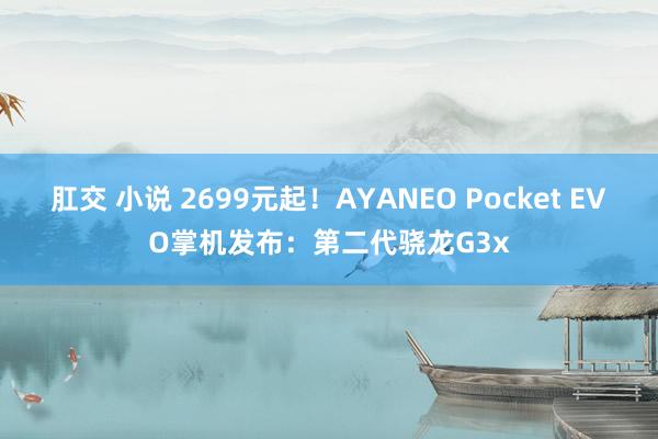 肛交 小说 2699元起！AYANEO Pocket EVO掌机发布：第二代骁龙G3x