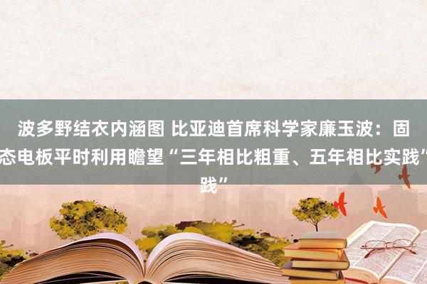 波多野结衣内涵图 比亚迪首席科学家廉玉波：固态电板平时利用瞻望“三年相比粗重、五年相比实践”