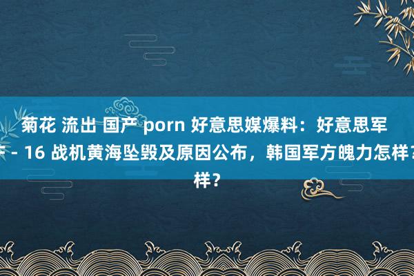 菊花 流出 国产 porn 好意思媒爆料：好意思军 F - 16 战机黄海坠毁及原因公布，韩国军方魄力怎样？