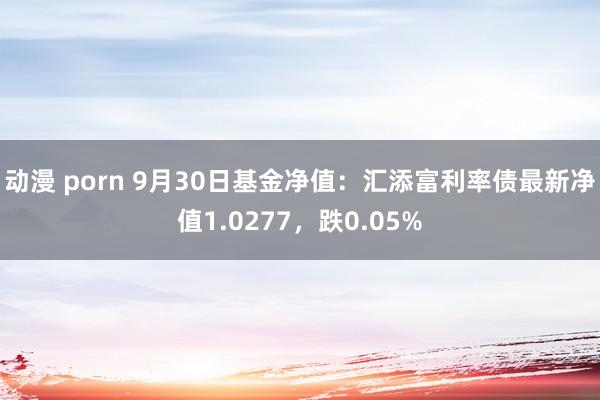 动漫 porn 9月30日基金净值：汇添富利率债最新净值1.0277，跌0.05%