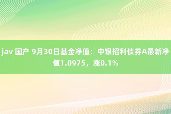 jav 国产 9月30日基金净值：中银招利债券A最新净值1.0975，涨0.1%