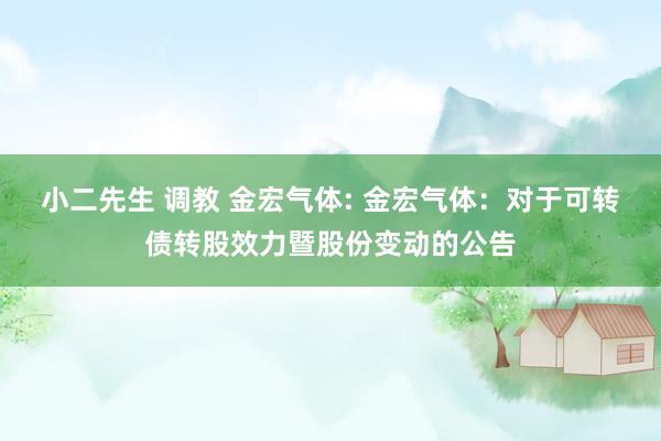 小二先生 调教 金宏气体: 金宏气体：对于可转债转股效力暨股份变动的公告