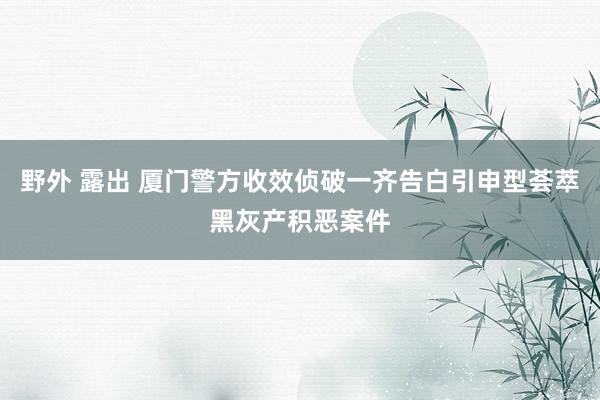 野外 露出 厦门警方收效侦破一齐告白引申型荟萃黑灰产积恶案件