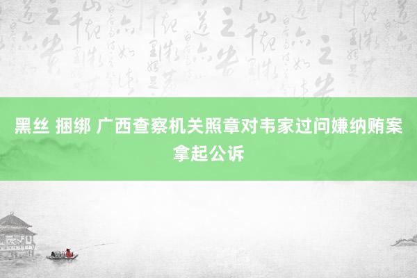 黑丝 捆绑 广西查察机关照章对韦家过问嫌纳贿案拿起公诉