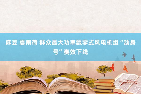 麻豆 夏雨荷 群众最大功率飘零式风电机组“动身号”奏效下线