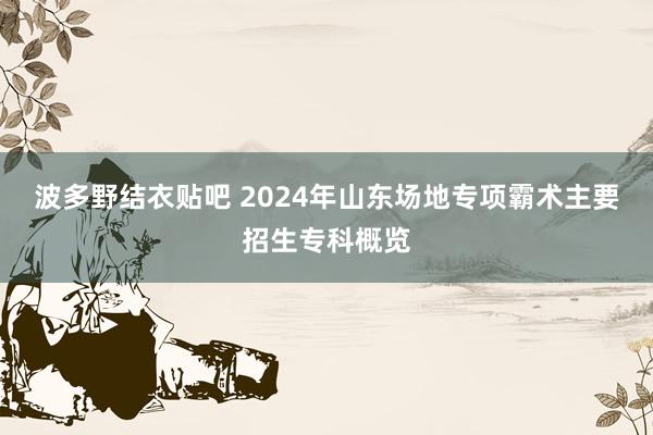 波多野结衣贴吧 2024年山东场地专项霸术主要招生专科概览