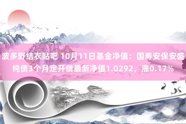 波多野结衣贴吧 10月11日基金净值：国寿安保安盛纯债3个月定开债最新净值1.0292，涨0.17%