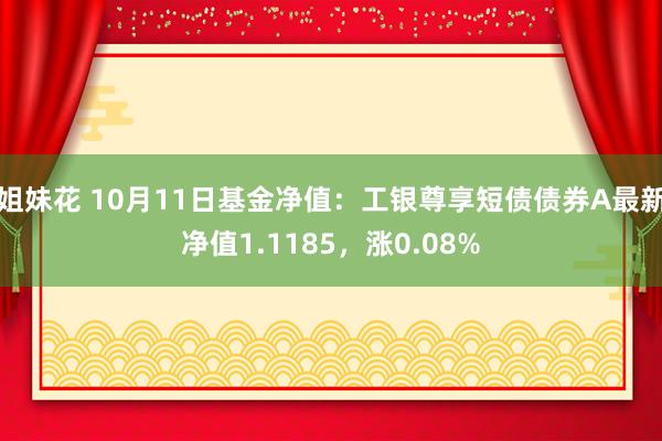 姐妹花 10月11日基金净值：工银尊享短债债券A最新净值1.1185，涨0.08%