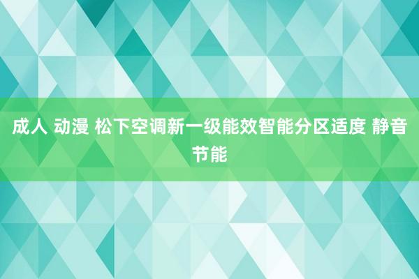 成人 动漫 松下空调新一级能效智能分区适度 静音节能