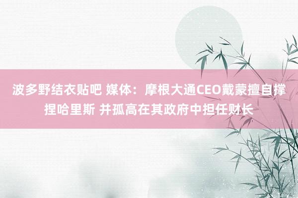 波多野结衣贴吧 媒体：摩根大通CEO戴蒙擅自撑捏哈里斯 并孤高在其政府中担任财长