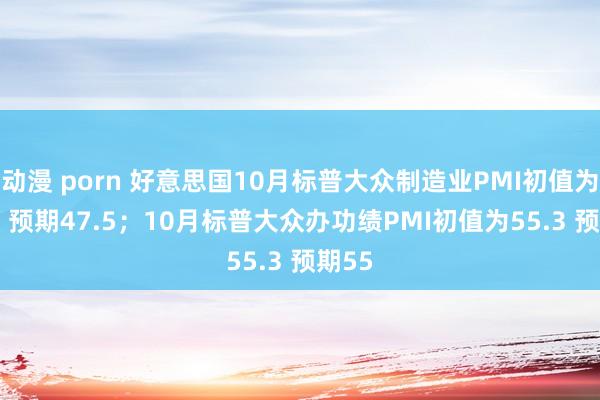 动漫 porn 好意思国10月标普大众制造业PMI初值为47.8 预期47.5；10月标普大众办功绩PMI初值为55.3 预期55