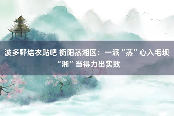 波多野结衣贴吧 衡阳蒸湘区：一派“蒸”心入毛坝 “湘”当得力出实效