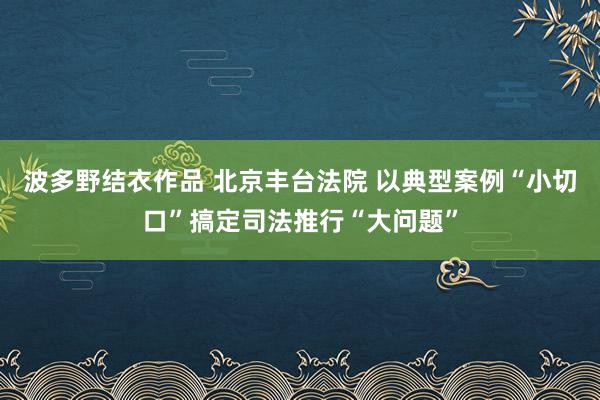 波多野结衣作品 北京丰台法院 以典型案例“小切口”搞定司法推行“大问题”