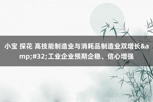 小宝 探花 高技能制造业与消耗品制造业双增长&#32;工业企业预期企稳、信心增强