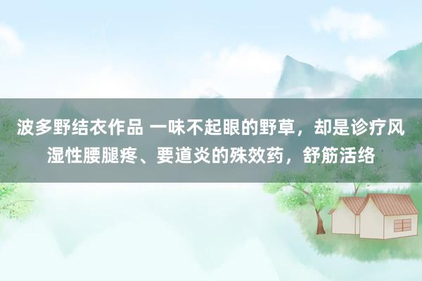 波多野结衣作品 一味不起眼的野草，却是诊疗风湿性腰腿疼、要道炎的殊效药，舒筋活络