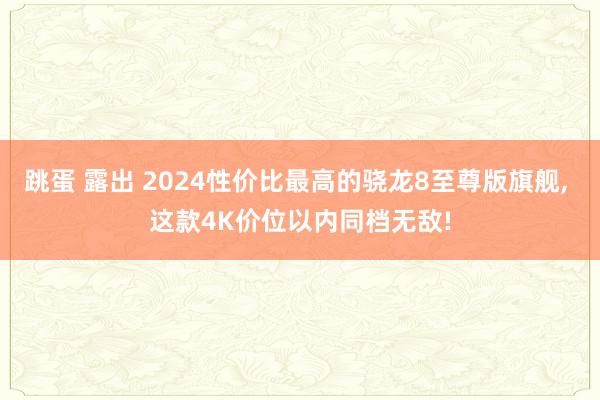 跳蛋 露出 2024性价比最高的骁龙8至尊版旗舰, 这款4K价位以内同档无敌!