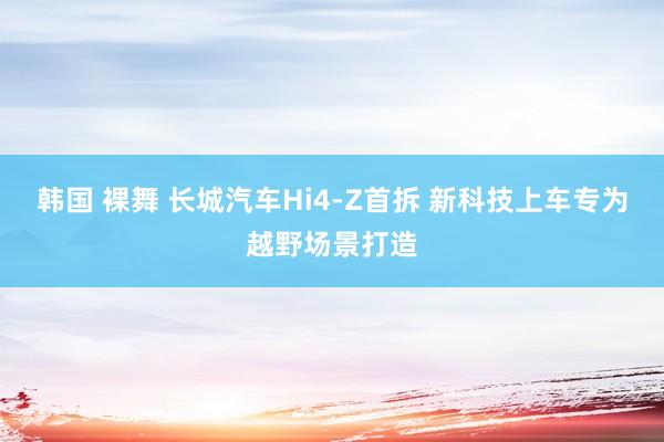 韩国 裸舞 长城汽车Hi4-Z首拆 新科技上车专为越野场景打造