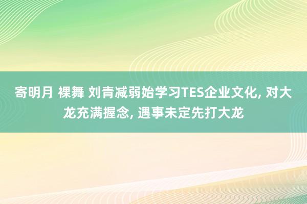 寄明月 裸舞 刘青减弱始学习TES企业文化, 对大龙充满握念, 遇事未定先打大龙