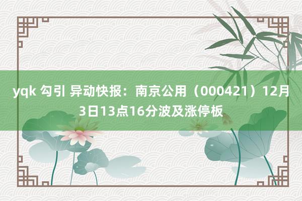 yqk 勾引 异动快报：南京公用（000421）12月3日13点16分波及涨停板