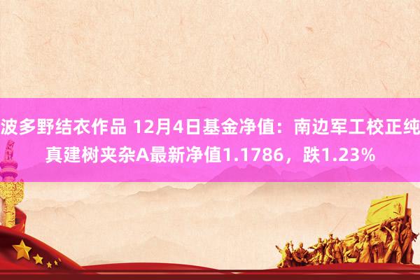 波多野结衣作品 12月4日基金净值：南边军工校正纯真建树夹杂A最新净值1.1786，跌1.23%