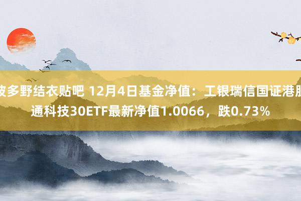 波多野结衣贴吧 12月4日基金净值：工银瑞信国证港股通科技30ETF最新净值1.0066，跌0.73%