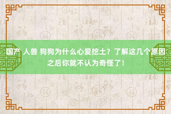 国产 人兽 狗狗为什么心爱挖土？了解这几个原因之后你就不认为奇怪了！