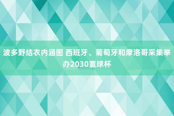 波多野结衣内涵图 西班牙、葡萄牙和摩洛哥采集举办2030寰球杯