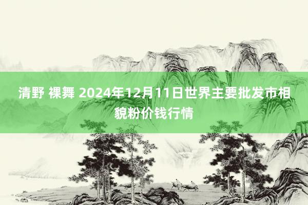 清野 裸舞 2024年12月11日世界主要批发市相貌粉价钱行情