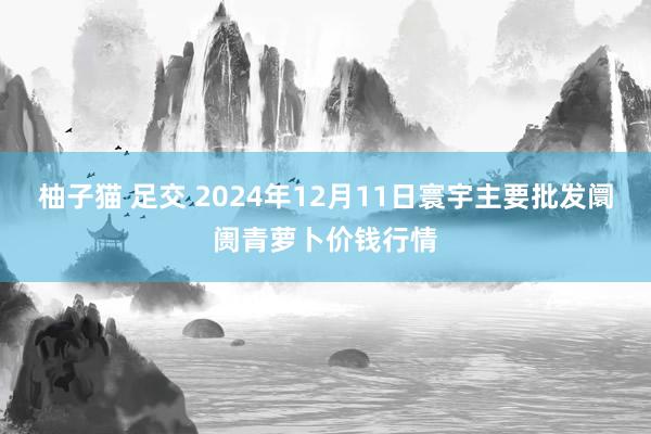 柚子猫 足交 2024年12月11日寰宇主要批发阛阓青萝卜价钱行情