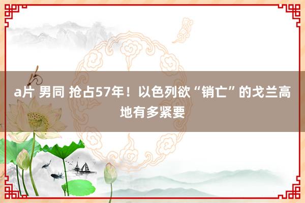 a片 男同 抢占57年！以色列欲“销亡”的戈兰高地有多紧要