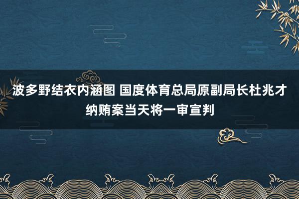 波多野结衣内涵图 国度体育总局原副局长杜兆才纳贿案当天将一审宣判