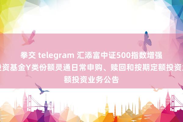 拳交 telegram 汇添富中证500指数增强型证券投资基金Y类份额灵通日常申购、赎回和按期定额投资业务公告