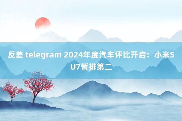 反差 telegram 2024年度汽车评比开启：小米SU7暂排第二