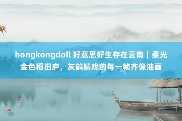 hongkongdoll 好意思好生存在云南｜柔光金色稻田庐，灰鹤嬉戏的每一帧齐像油画