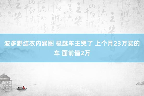 波多野结衣内涵图 极越车主哭了 上个月23万买的车 面前值2万