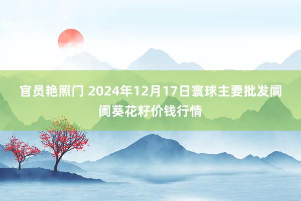 官员艳照门 2024年12月17日寰球主要批发阛阓葵花籽价钱行情