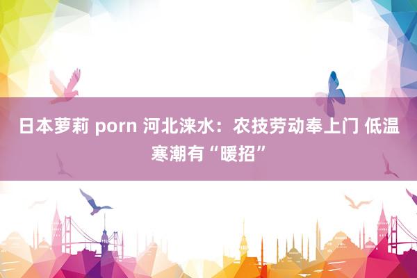 日本萝莉 porn 河北涞水：农技劳动奉上门 低温寒潮有“暖招”