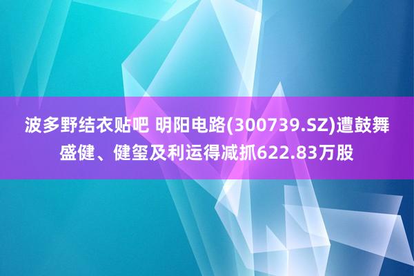 波多野结衣贴吧 明阳电路(300739.SZ)遭鼓舞盛健、健玺及利运得减抓622.83万股