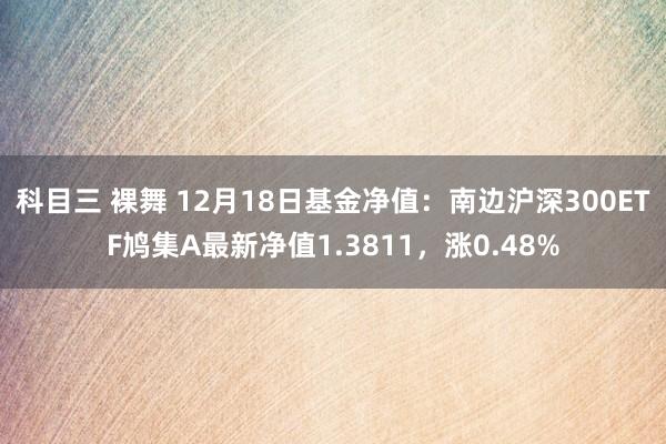 科目三 裸舞 12月18日基金净值：南边沪深300ETF鸠集A最新净值1.3811，涨0.48%